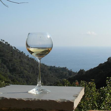 Agriturismo Costa Di Campo Vernazza Exteriör bild