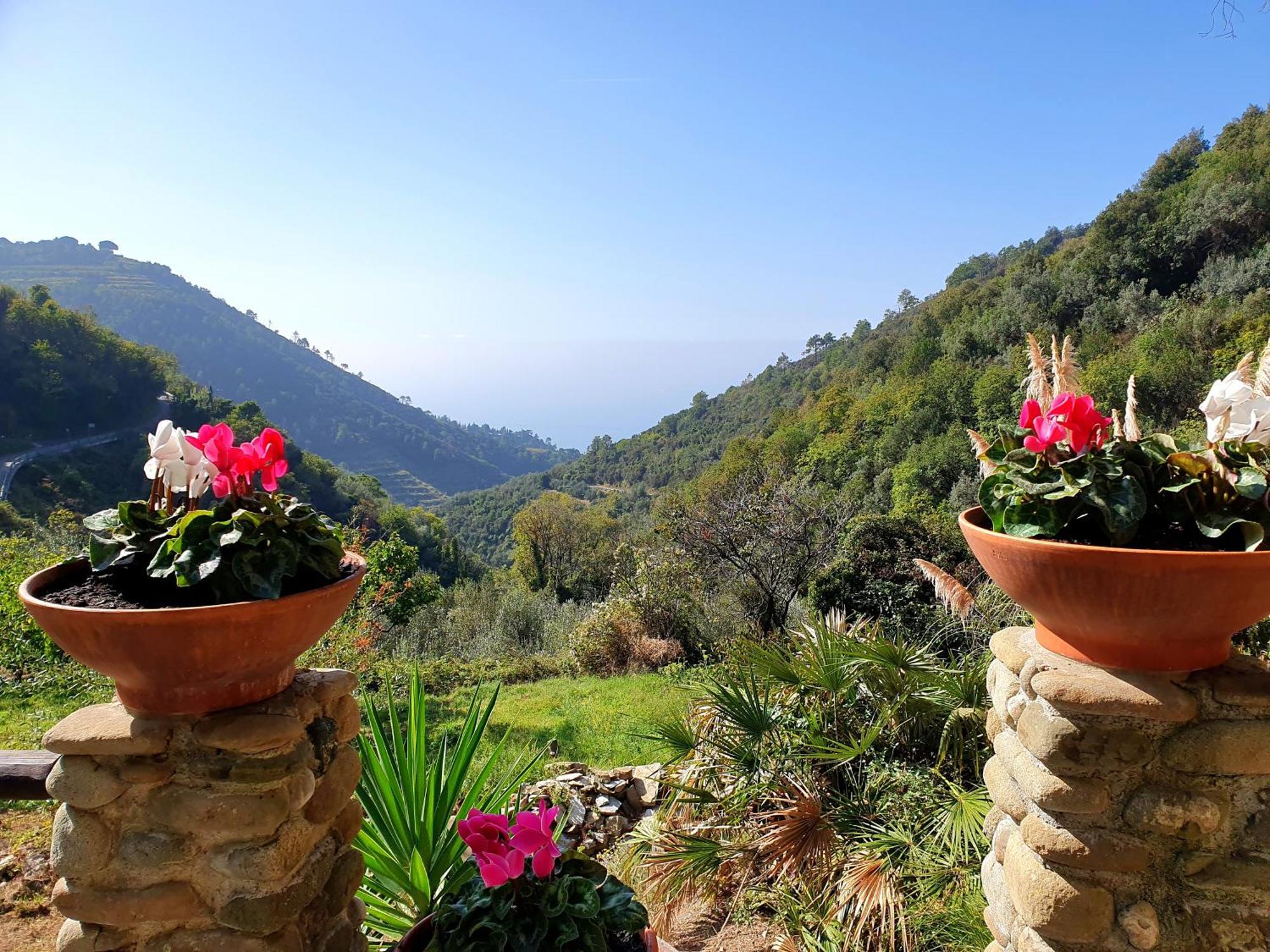 Agriturismo Costa Di Campo Vernazza Exteriör bild