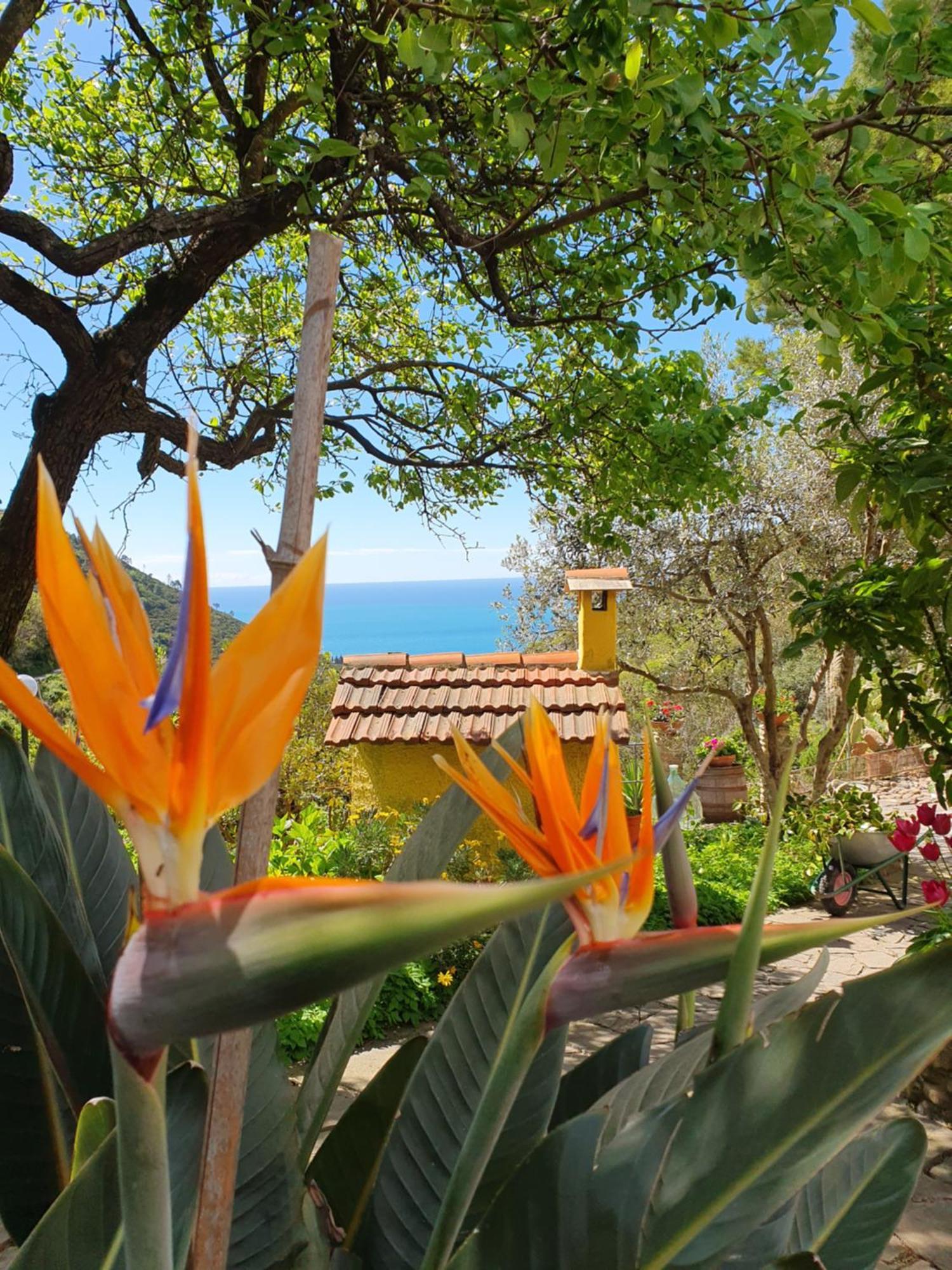 Agriturismo Costa Di Campo Vernazza Exteriör bild