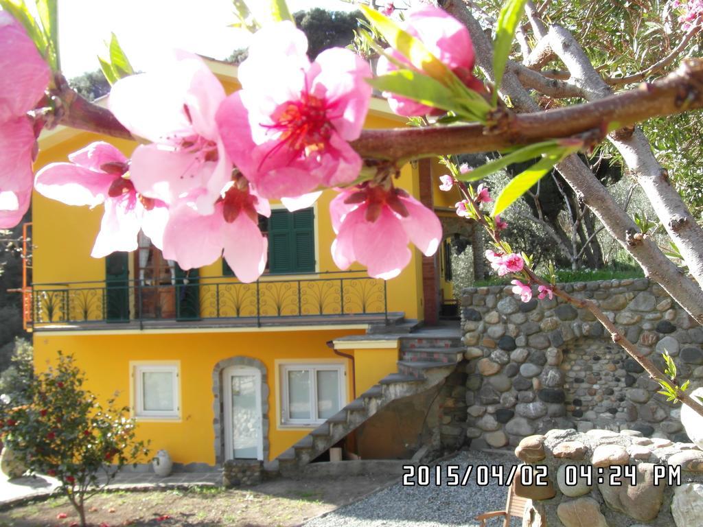 Agriturismo Costa Di Campo Vernazza Exteriör bild