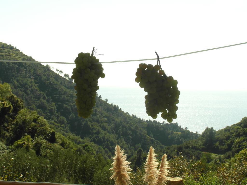 Agriturismo Costa Di Campo Vernazza Exteriör bild