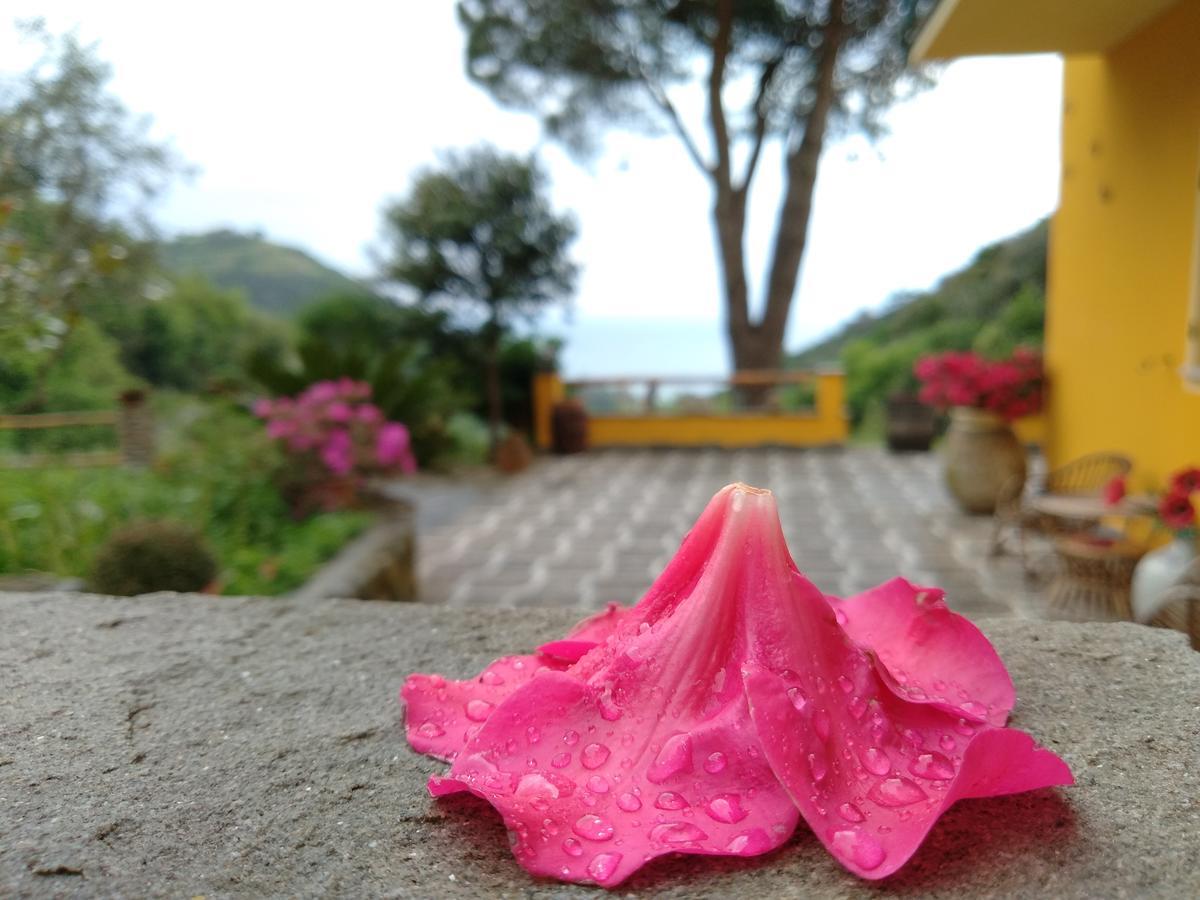 Agriturismo Costa Di Campo Vernazza Exteriör bild