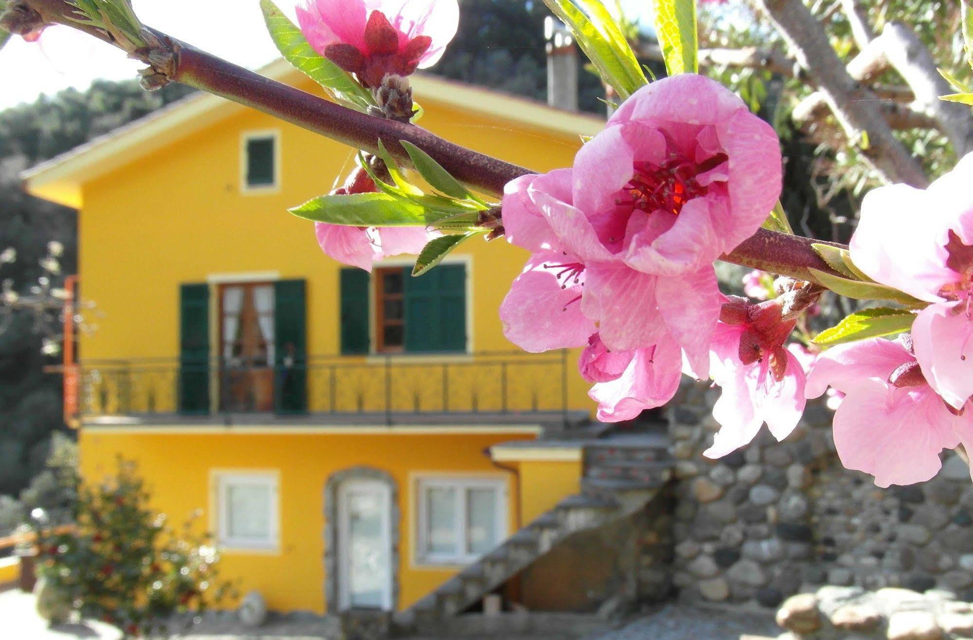 Agriturismo Costa Di Campo Vernazza Exteriör bild