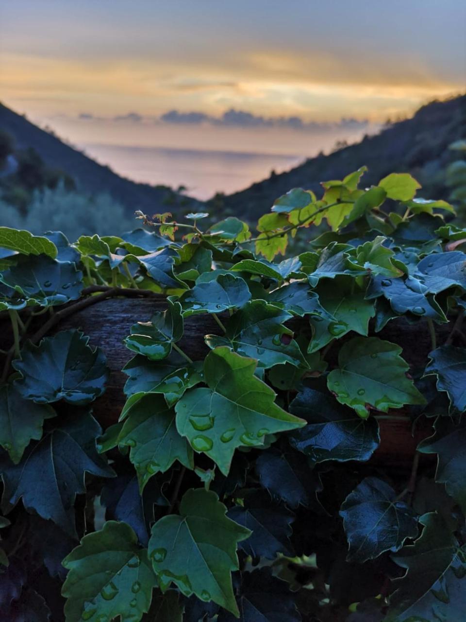 Agriturismo Costa Di Campo Vernazza Exteriör bild