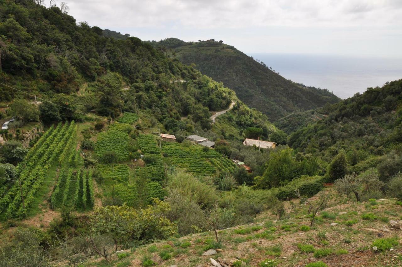 Agriturismo Costa Di Campo Vernazza Exteriör bild